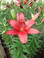 [5080 Atacama No01.JPG]